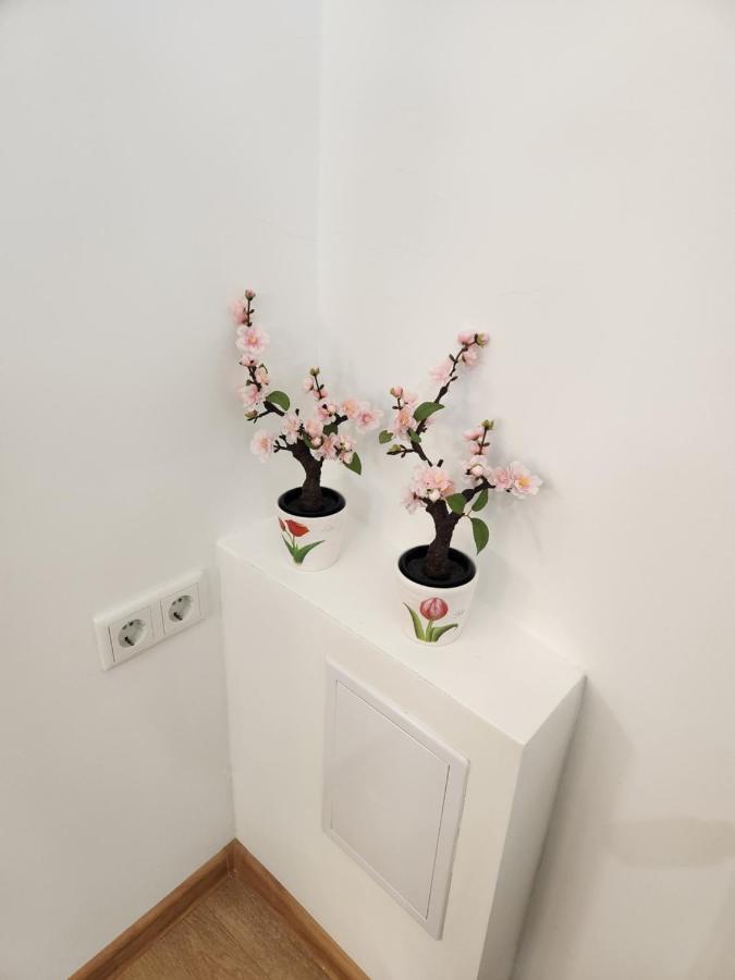 Apartman Zagreb Cca 42M2 With Free Parking ภายนอก รูปภาพ